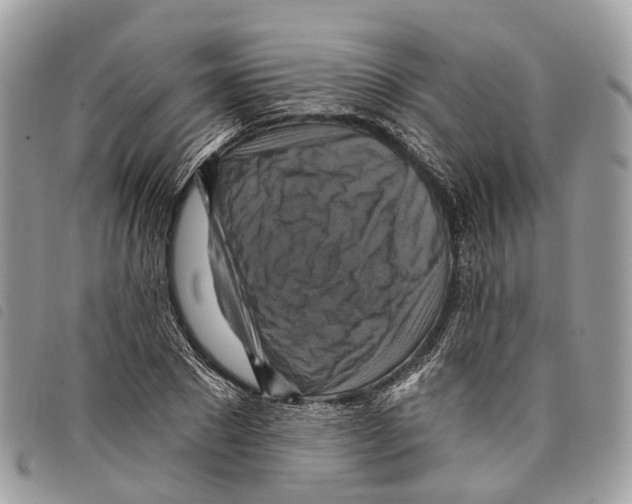 X0000097830881200804111037