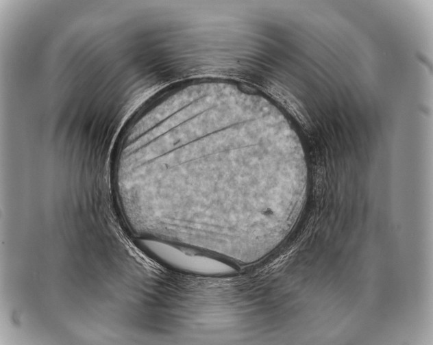 X0000097830884200804111036