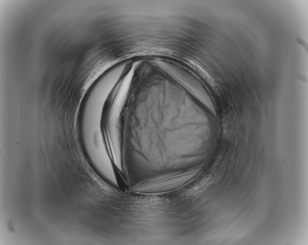 X0000097830885200804111036