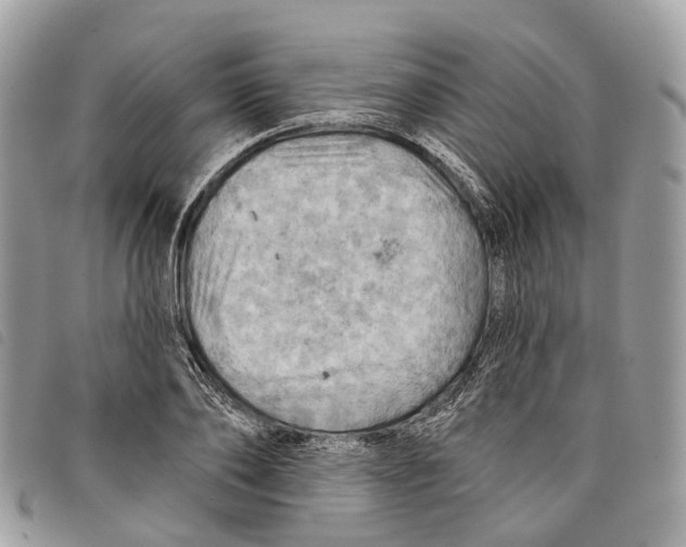 X0000097830886200804111036