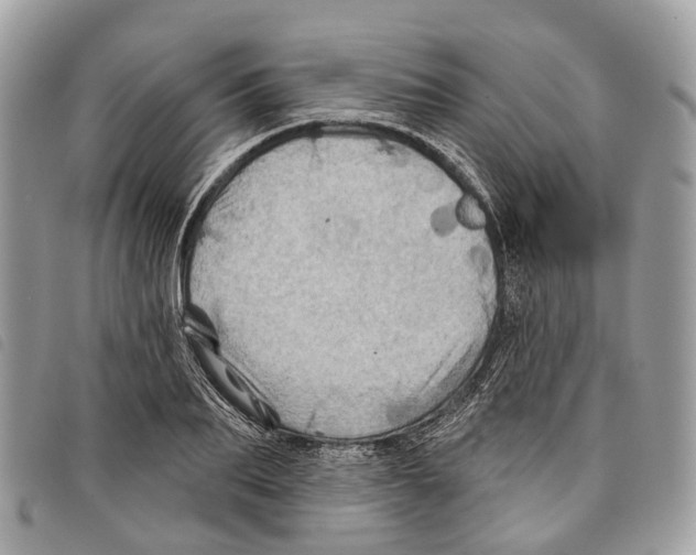 X0000097830887200804111036