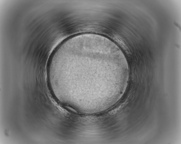 X0000097830888200804111036