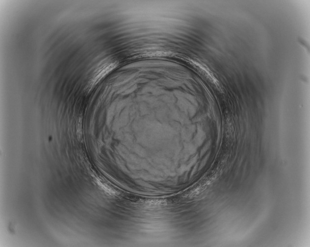 X0000097830889200804111036