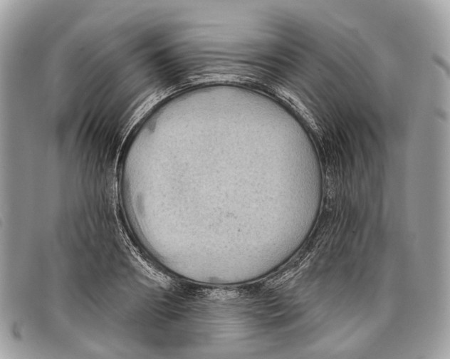 X0000097830890200804111036