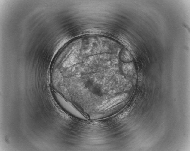 X0000097830891200804111036