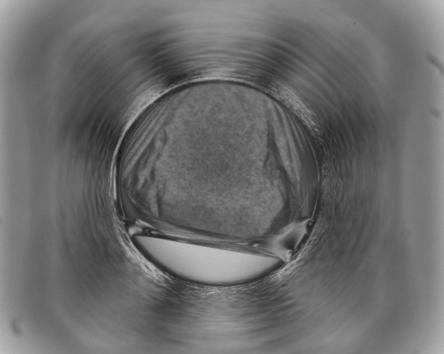 X0000097830892200804111036