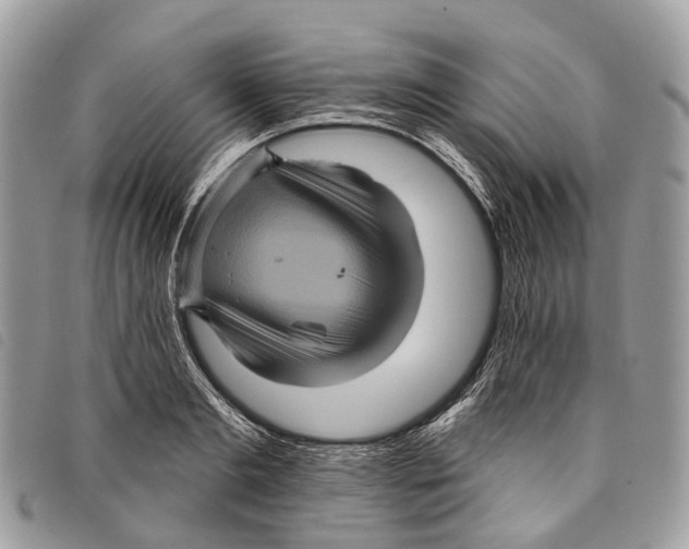 X0000097830893200804111036