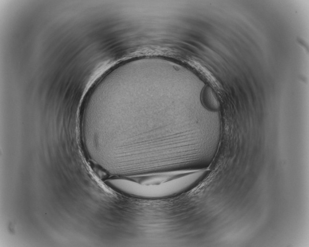 X0000097830894200804111036