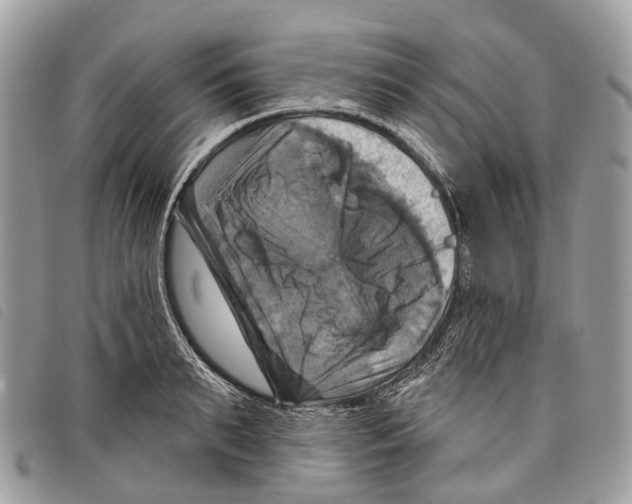 X0000097830895200804111036