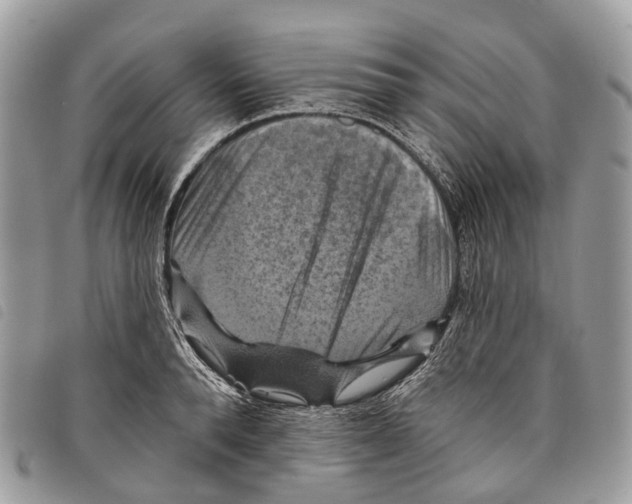 X0000097830896200804111036