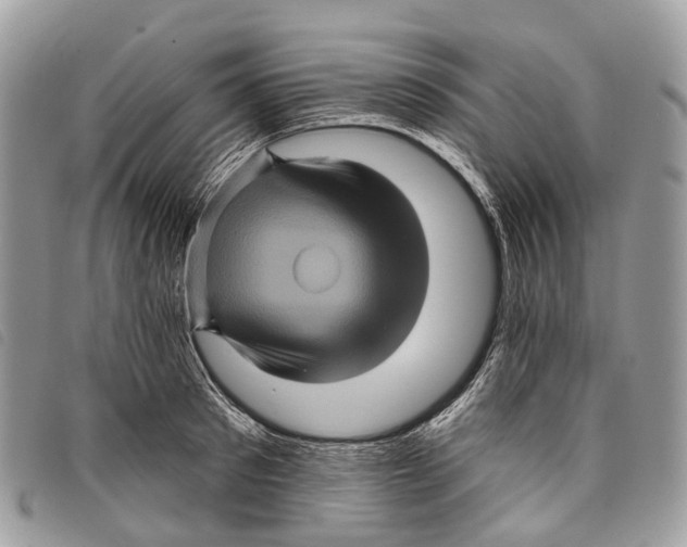 X0000097830897200804111036