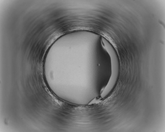 X0000097830898200804111036