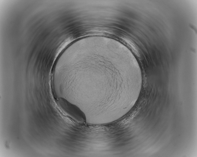 X0000097830899200804111036