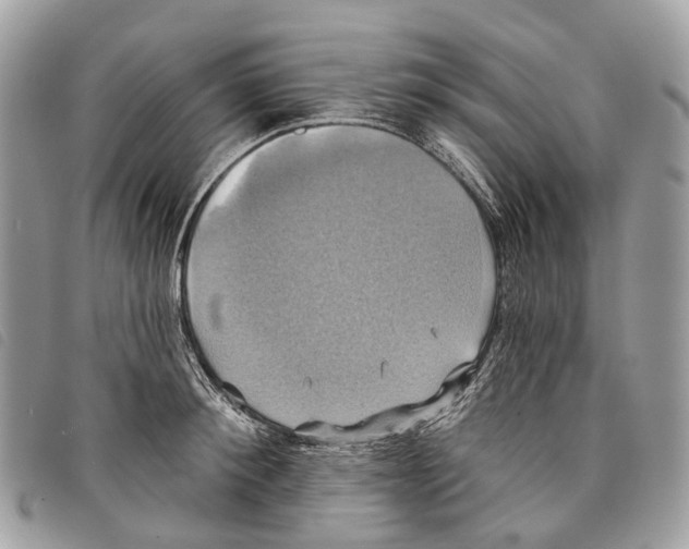 X0000097830900200804111036