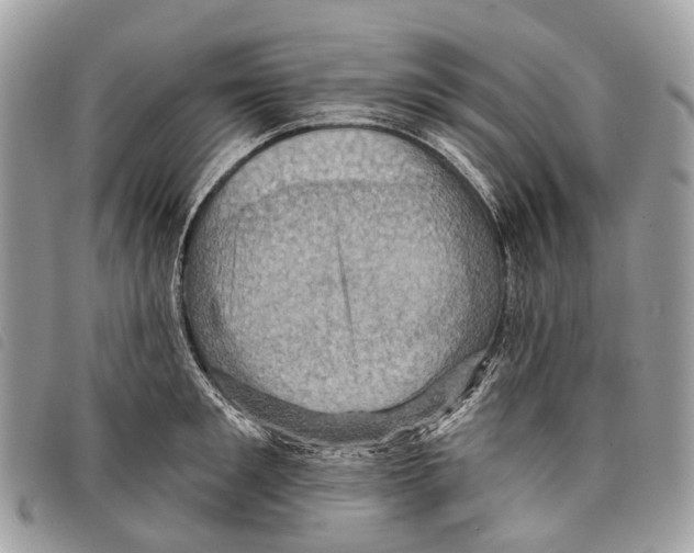 X0000097830901200804111036