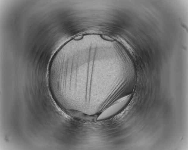 X0000097830902200804111036