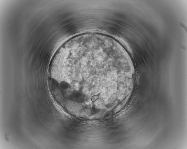 X0000097830903200804111036