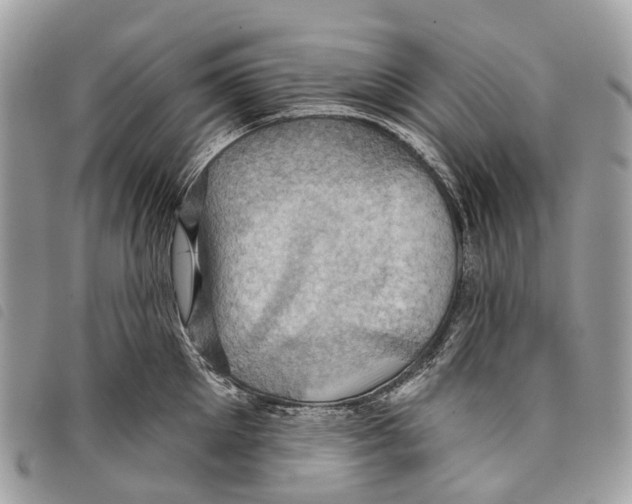 X0000097830905200804111036