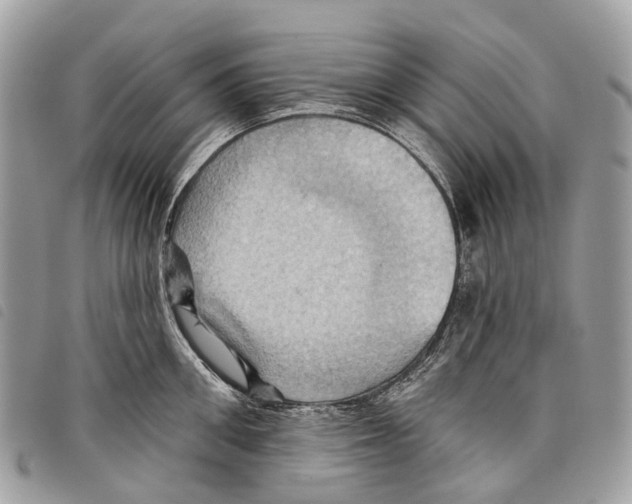 X0000097830906200804111036