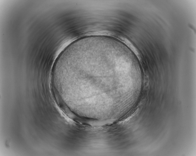 X0000097830909200804111036