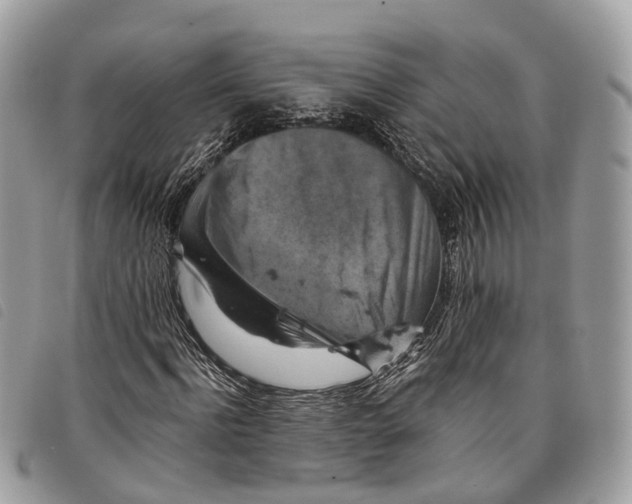 X0000097830916200804111035