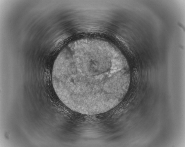 X0000097830918200804111035