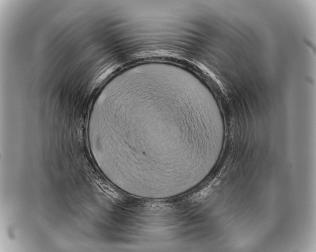 X0000097830921200804111035