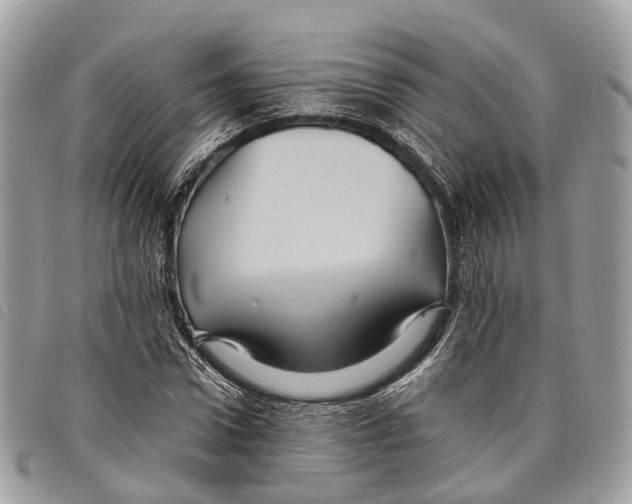 X0000097830922200804111035