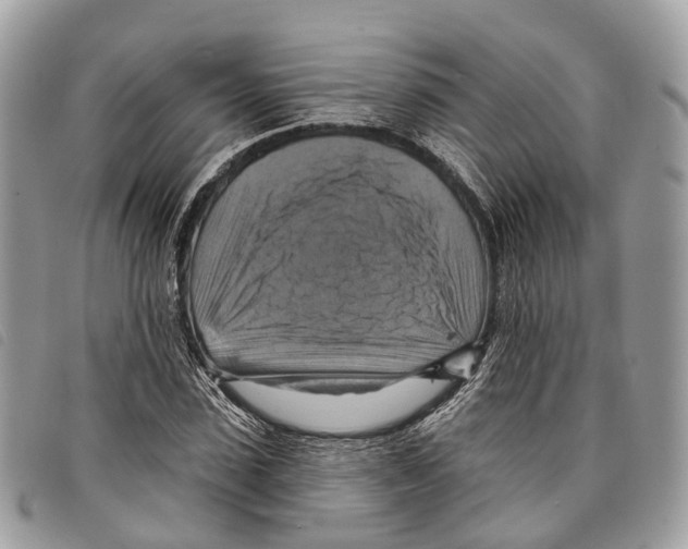 X0000097830923200804111035