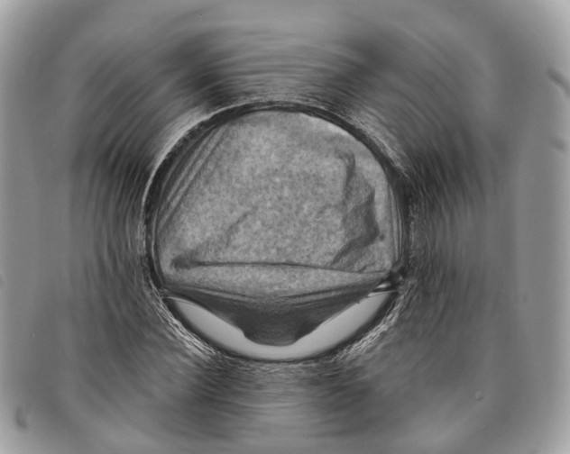 X0000097830924200804111035