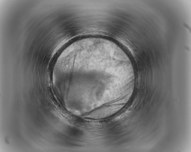 X0000097830925200804111035