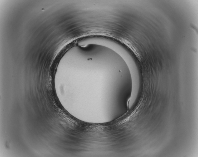 X0000097830926200804111035