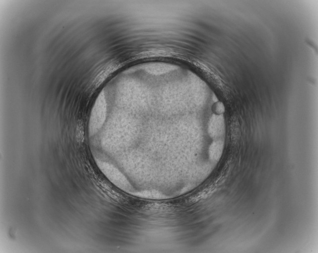 X0000097830929200804111035