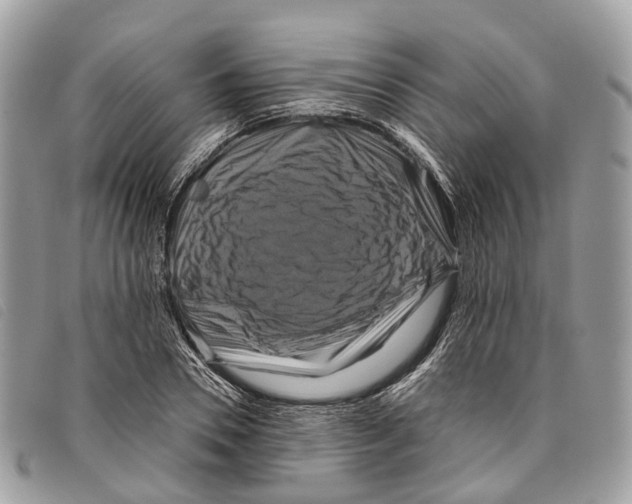 X0000097830930200804111035