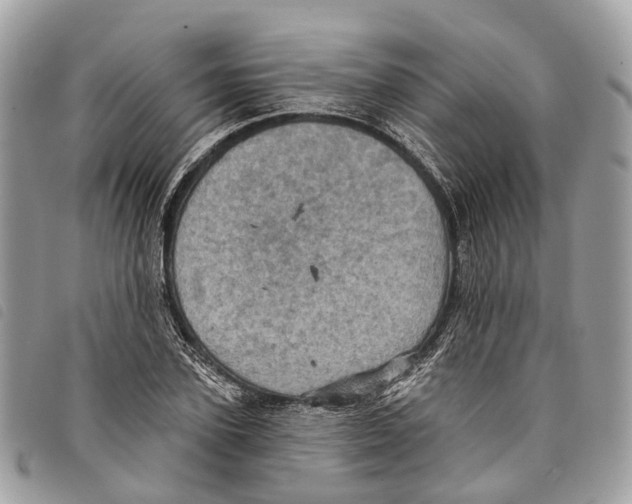 X0000097830931200804111035