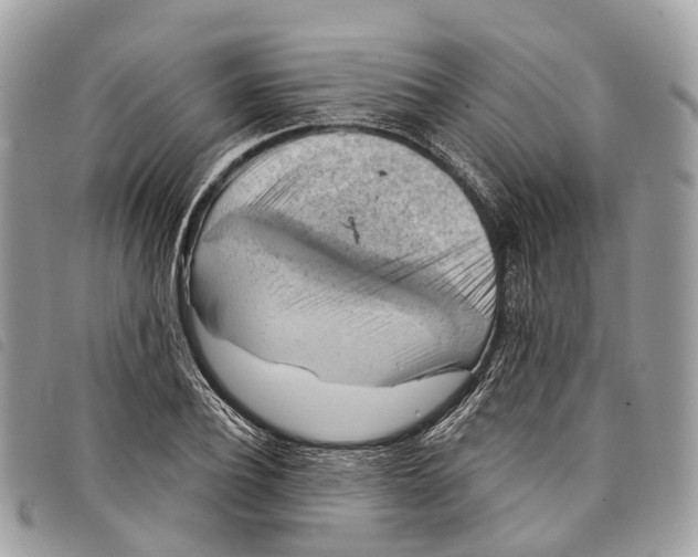 X0000097830932200804111036