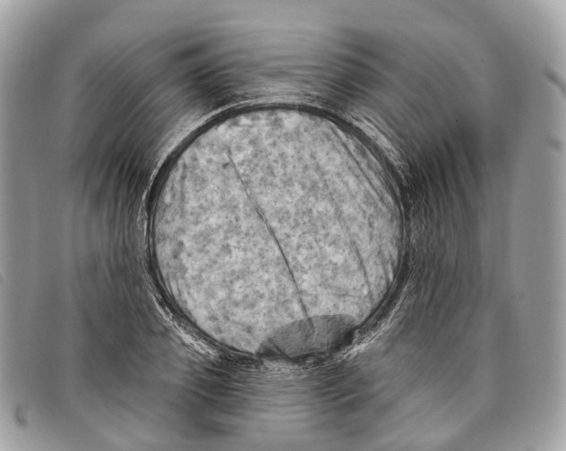 X0000097830933200804111036