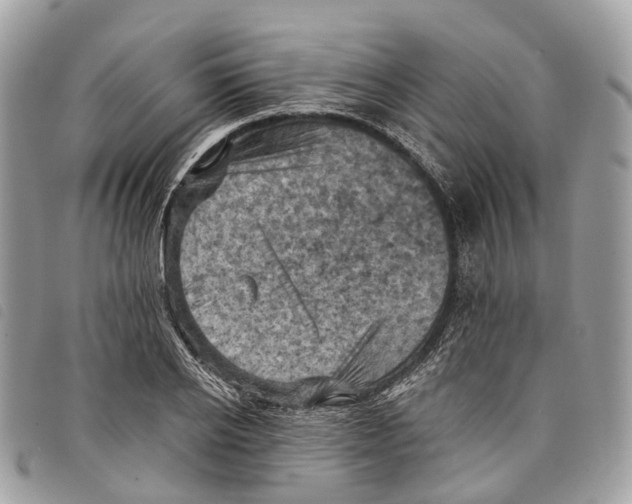 X0000097830934200804111036