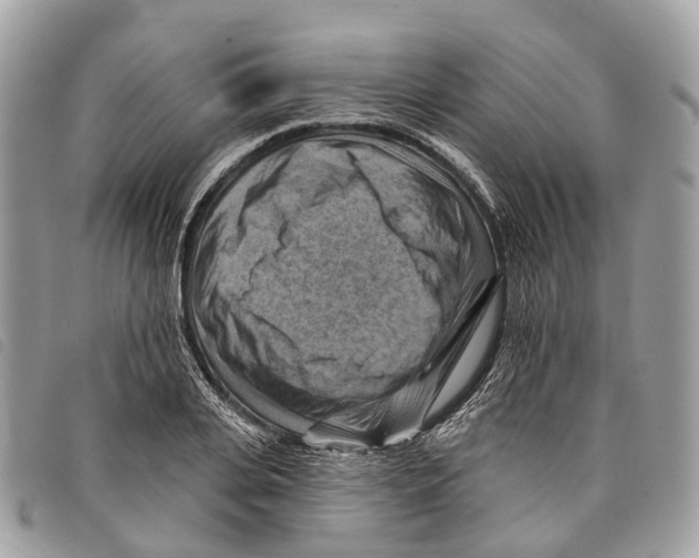 X0000097830935200804111036