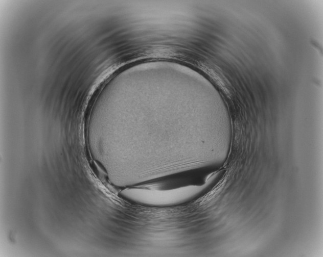 X0000097830939200804111036