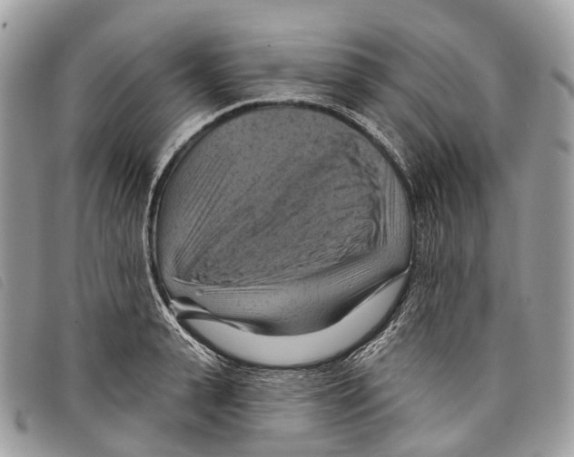 X0000097830943200804111036