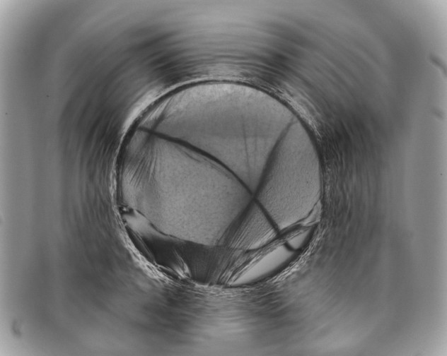 X0000097830944200804111036