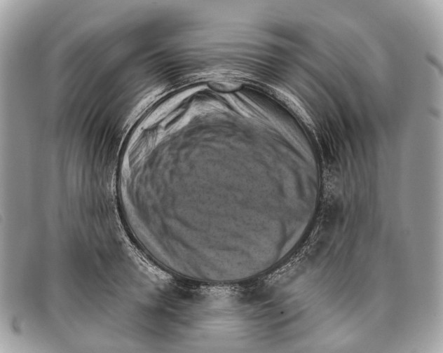 X0000097830946200804111036