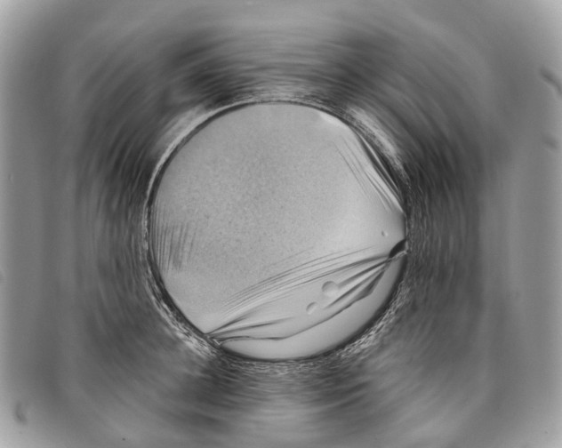 X0000097830948200804111036