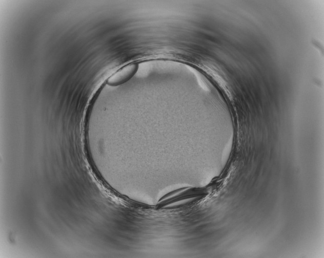 X0000097830949200804111036