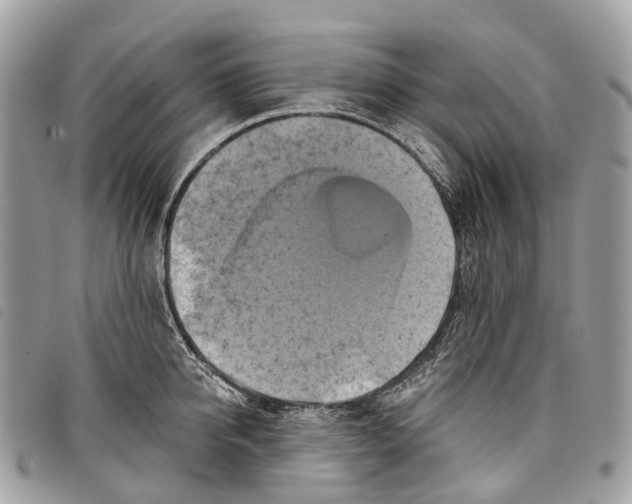 X0000097830950200804111036