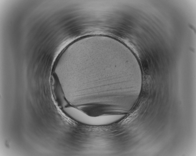 X0000097830951200804111036