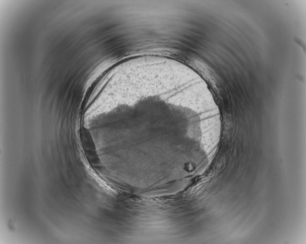 X0000097830952200804111036