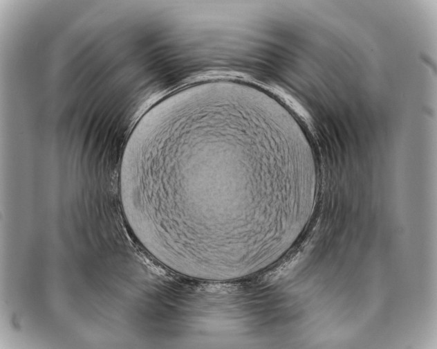 X0000097830953200804111036