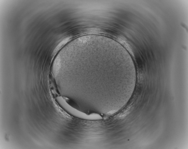 X0000097830954200804111036